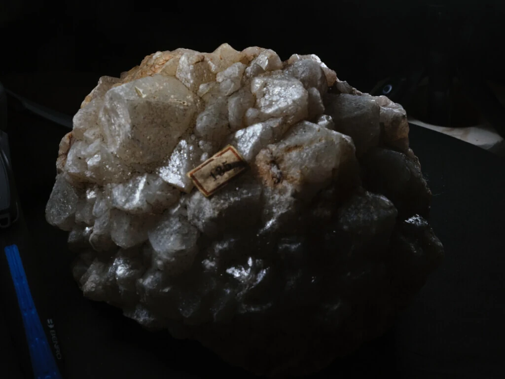 roches museum dhistoire naturelle pacome Sadek photographe035