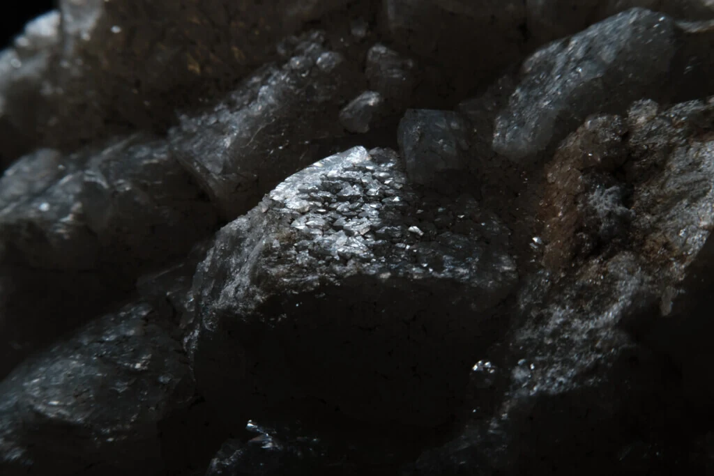 roches museum dhistoire naturelle pacome Sadek photographe039