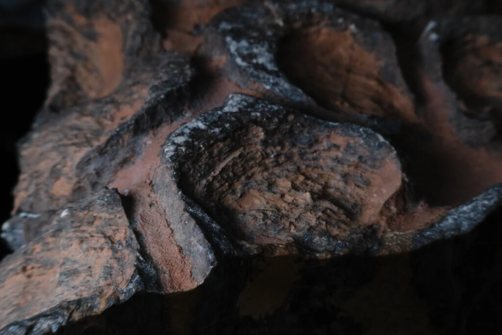 roches museum dhistoire naturelle pacome Sadek photographe056