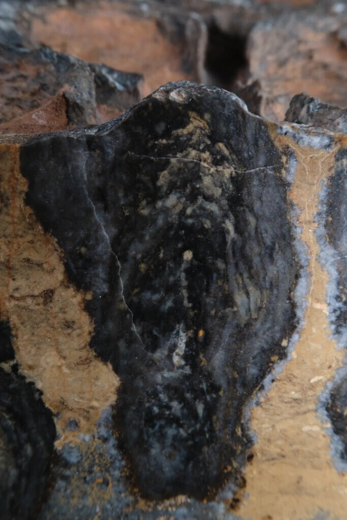 roches museum dhistoire naturelle pacome Sadek photographe057