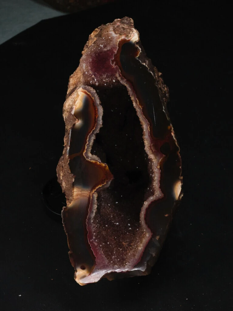 roches museum dhistoire naturelle pacome Sadek photographe063