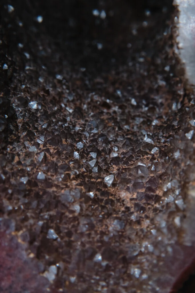 roches museum dhistoire naturelle pacome Sadek photographe067