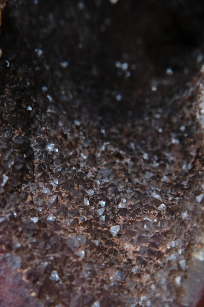 roches museum dhistoire naturelle pacome Sadek photographe068