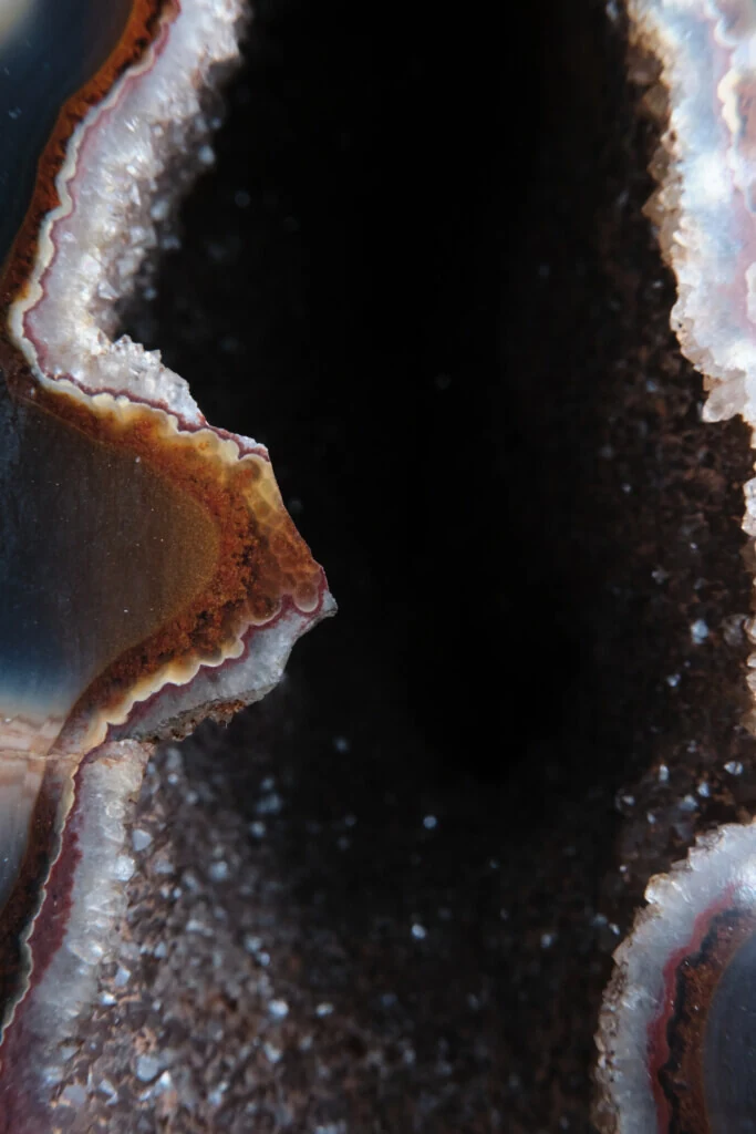 roches museum dhistoire naturelle pacome Sadek photographe070