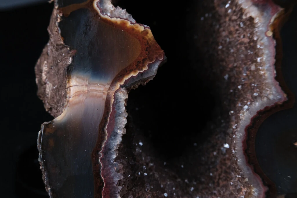 roches museum dhistoire naturelle pacome Sadek photographe073