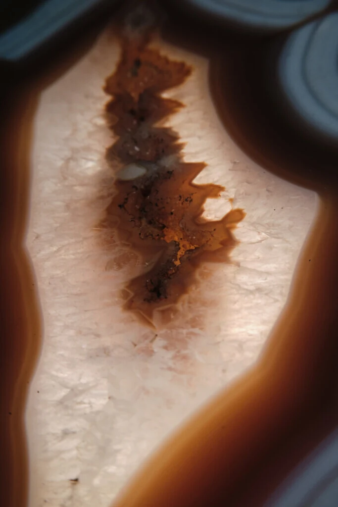 roches museum dhistoire naturelle pacome Sadek photographe080