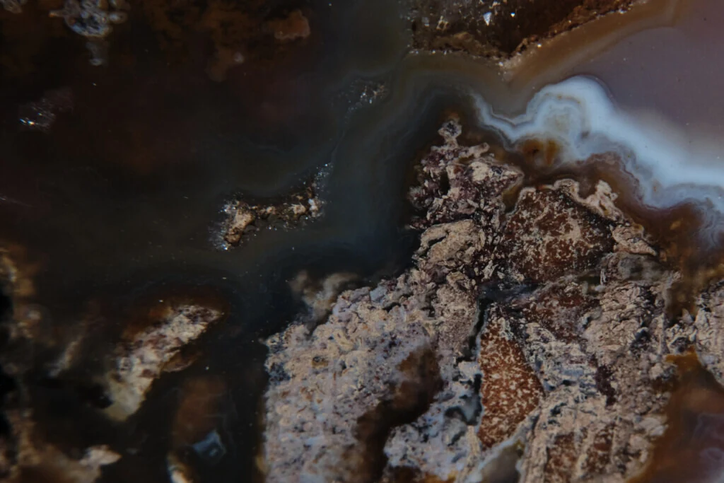 roches museum dhistoire naturelle pacome Sadek photographe086