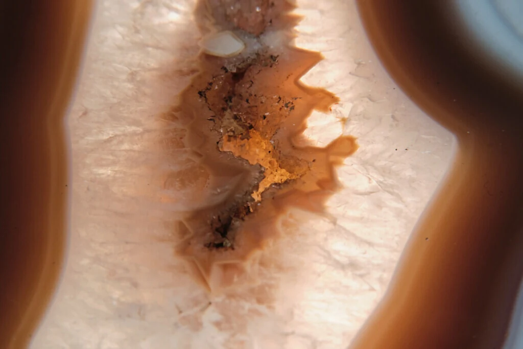 roches museum dhistoire naturelle pacome Sadek photographe090