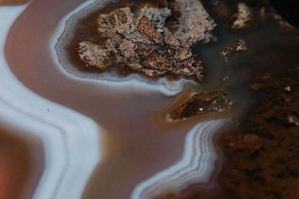 roches museum dhistoire naturelle pacome Sadek photographe093