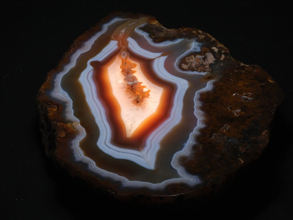 roches museum dhistoire naturelle pacome Sadek photographe094