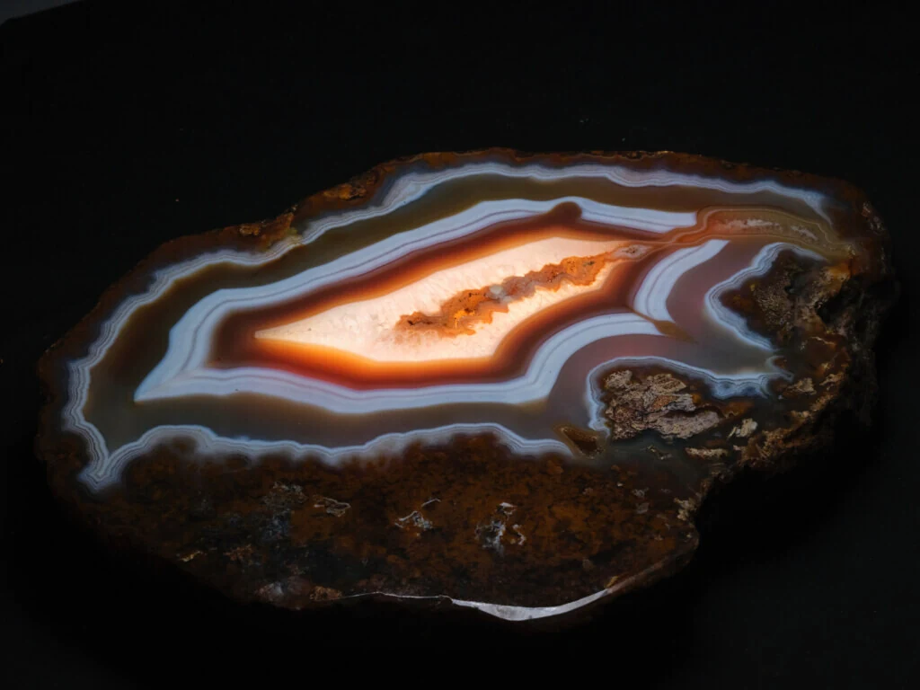 roches museum dhistoire naturelle pacome Sadek photographe097