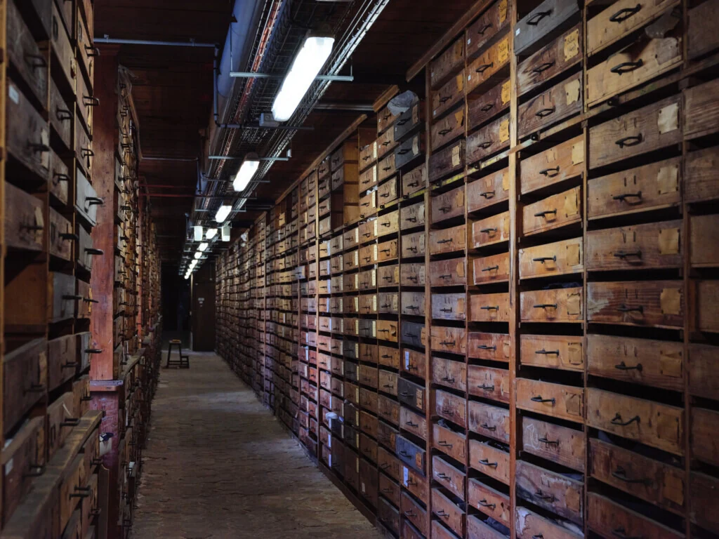 roches museum dhistoire naturelle pacome Sadek photographe134