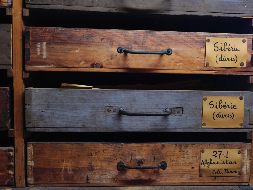 roches museum dhistoire naturelle pacome Sadek photographe135