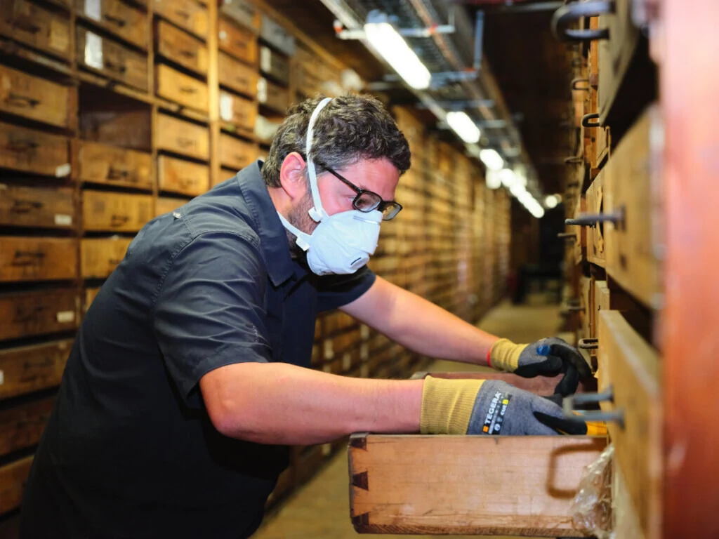 roches museum dhistoire naturelle pacome Sadek photographe139