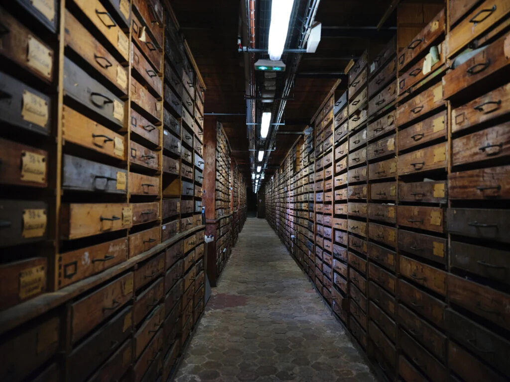 roches museum dhistoire naturelle pacome Sadek photographe143